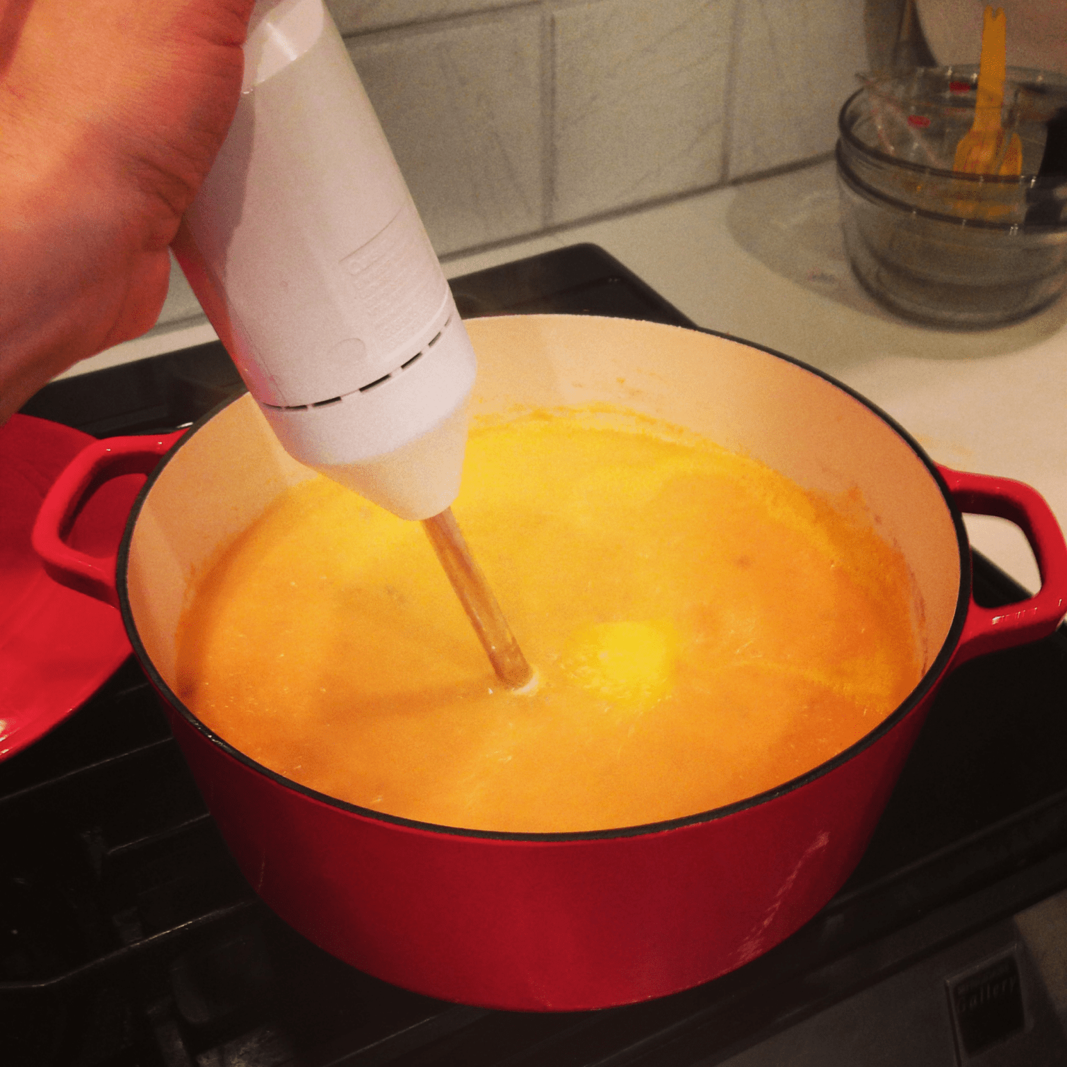 Immersion Blender vs. Hand Mixer Blender Adviser