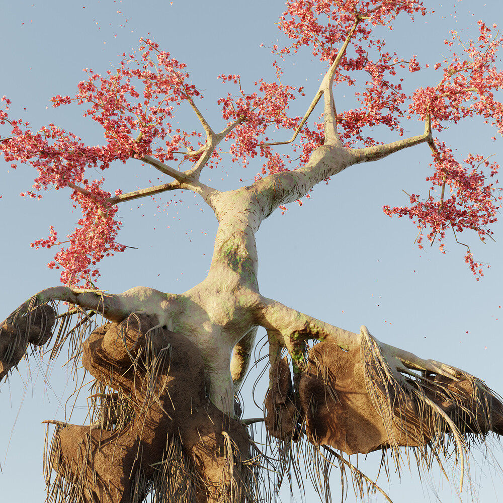 Cherry Blossom Tree in the Morning Light Finished Projects Blender