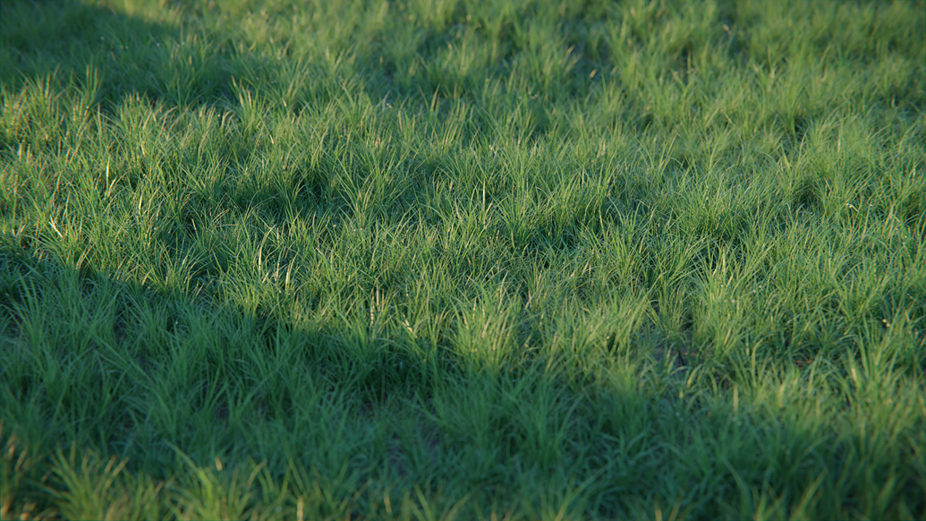Real Grass addon Finished Projects Blender Artists Community