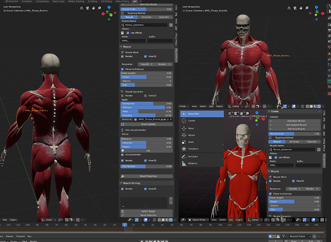 XMuscle System for Blender 4.X 167 by ChristianVFX Released