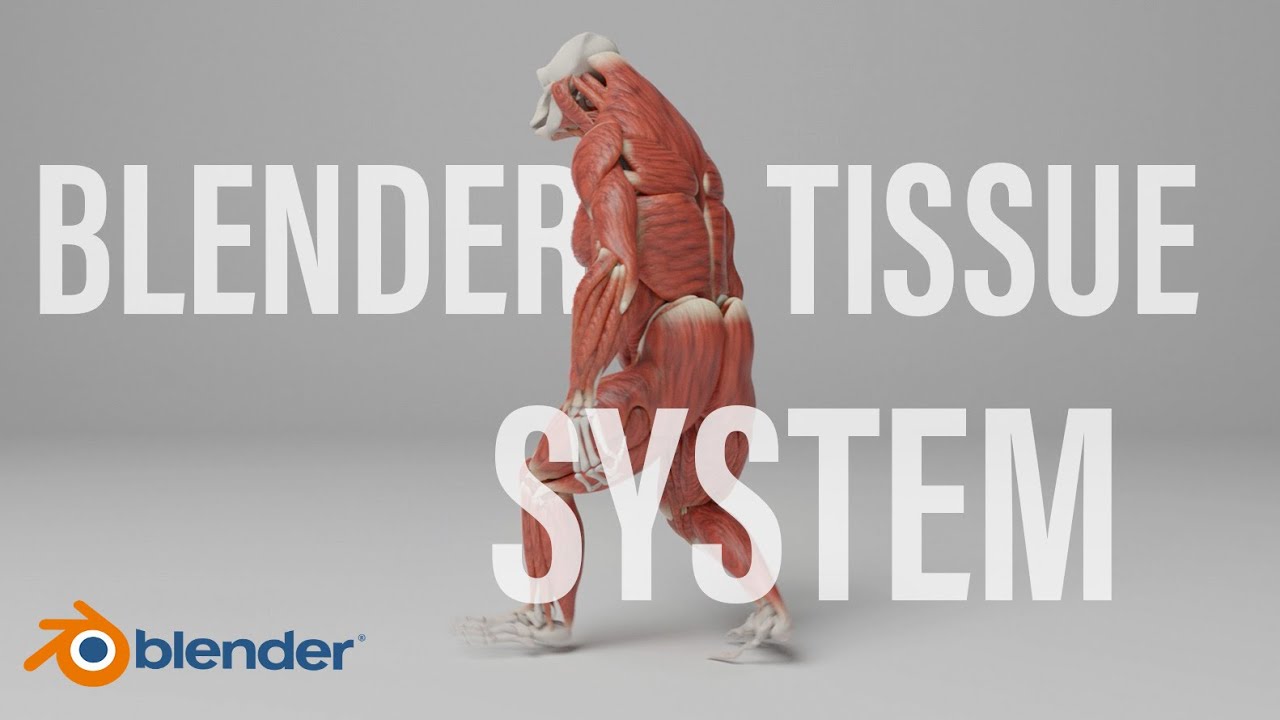 XMuscle System for Blender 4.X 270 Released Scripts and Themes