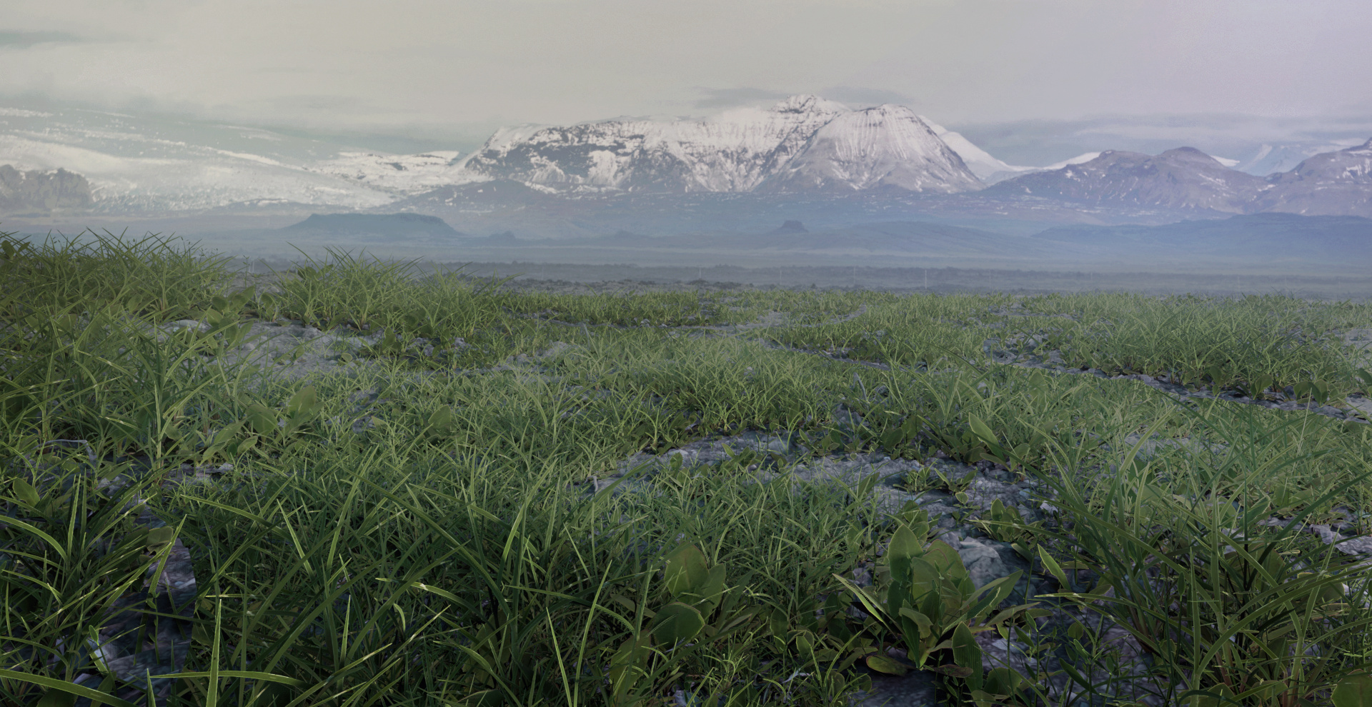 Eevee Grass Finished Projects Blender Artists Community