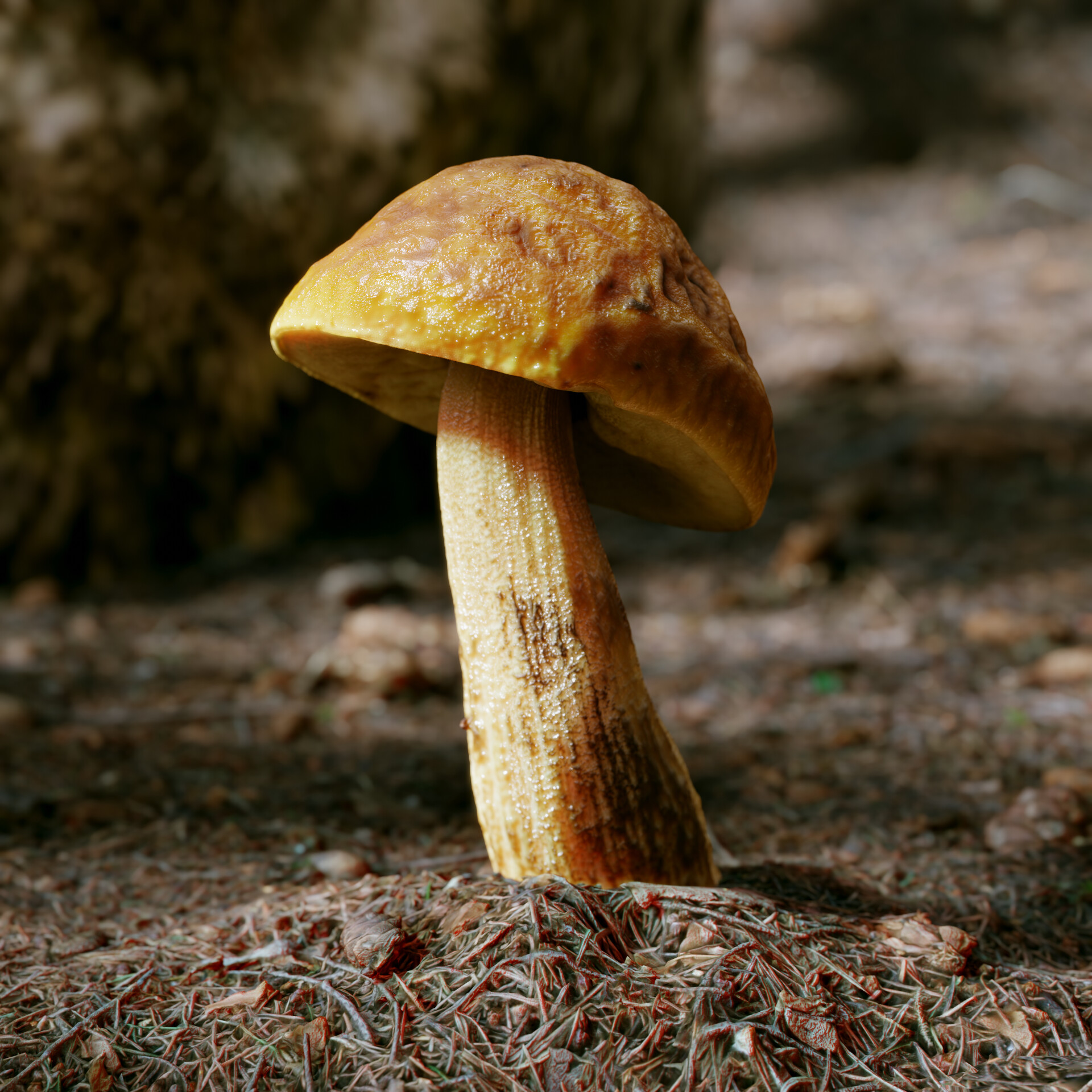 Mushrooms Finished Projects Blender Artists Community