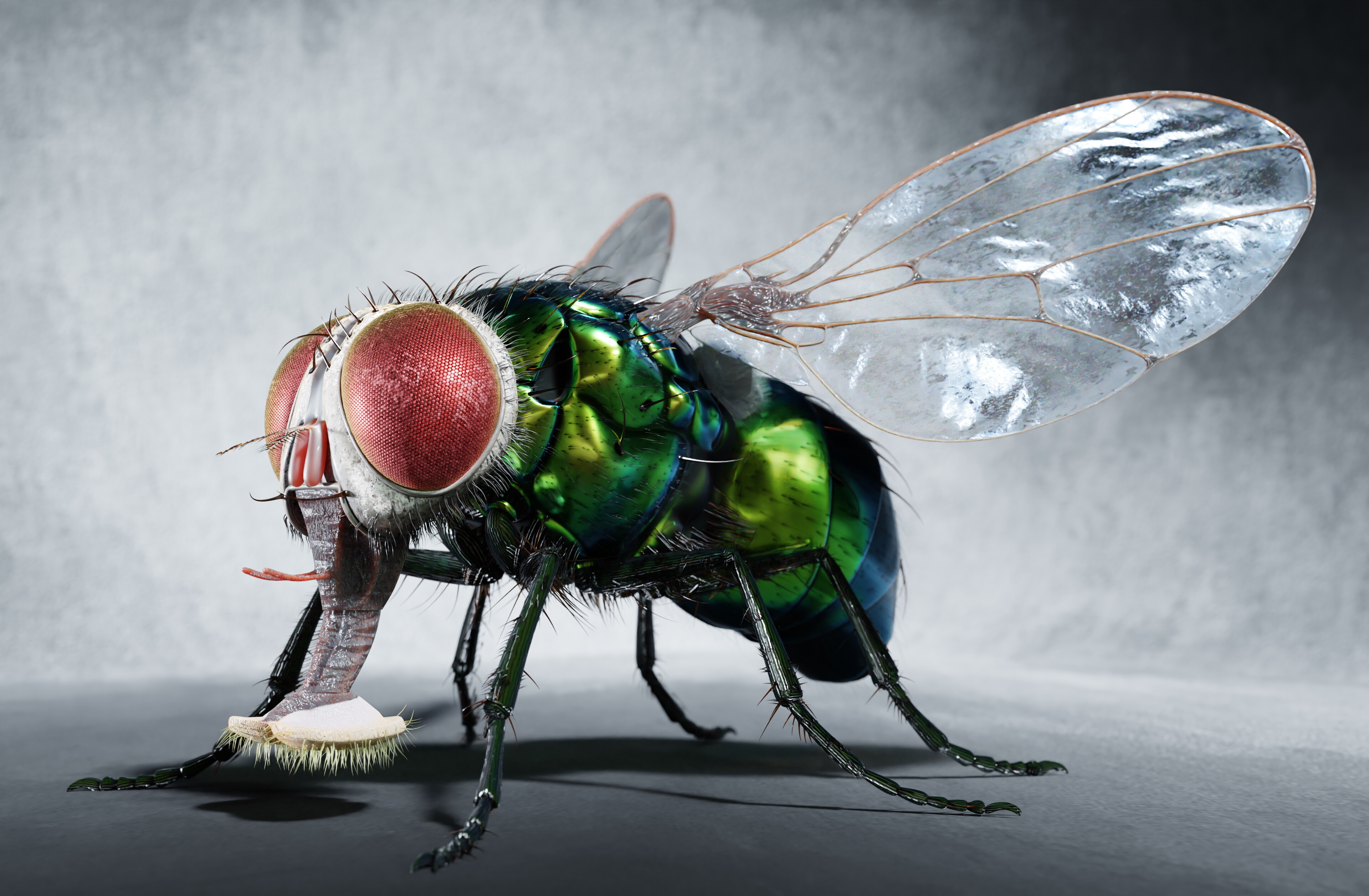 Big green bottle fly Works in Progress Blender Artists Community