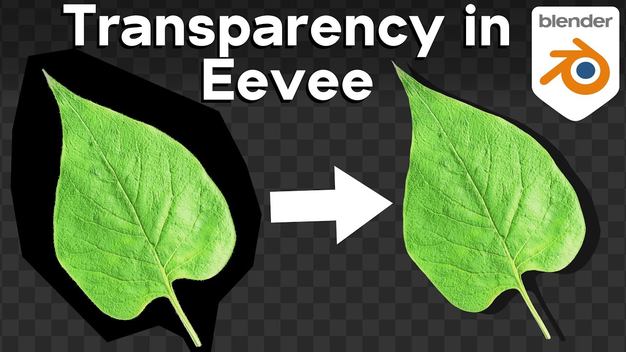 How to Use Transparency in Blender Eevee Tutorials, Tips and Tricks
