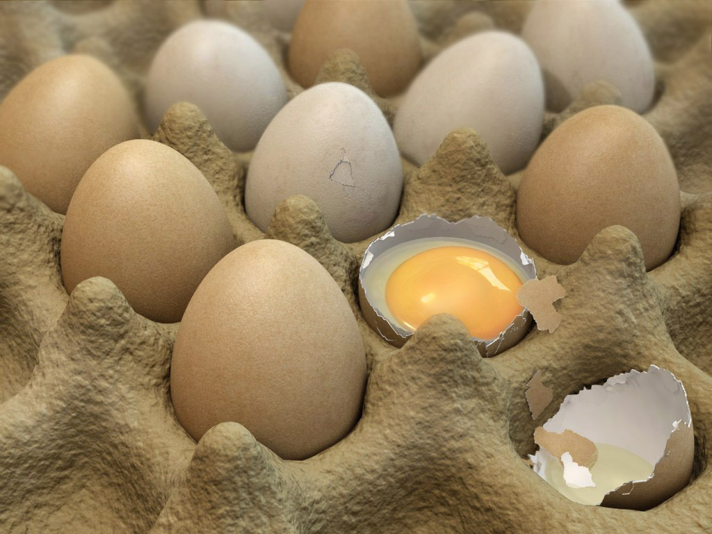 The eggs Forum Gallery Blender Artists Community