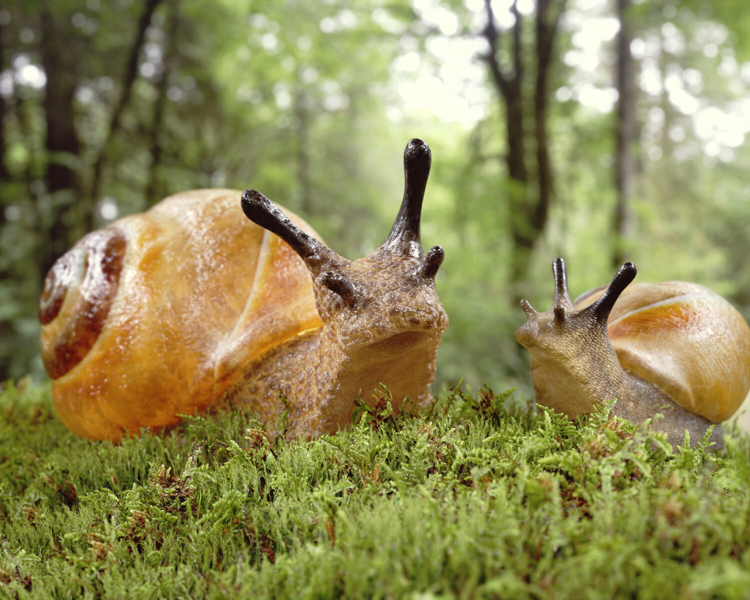 Snails Finished Projects Blender Artists Community