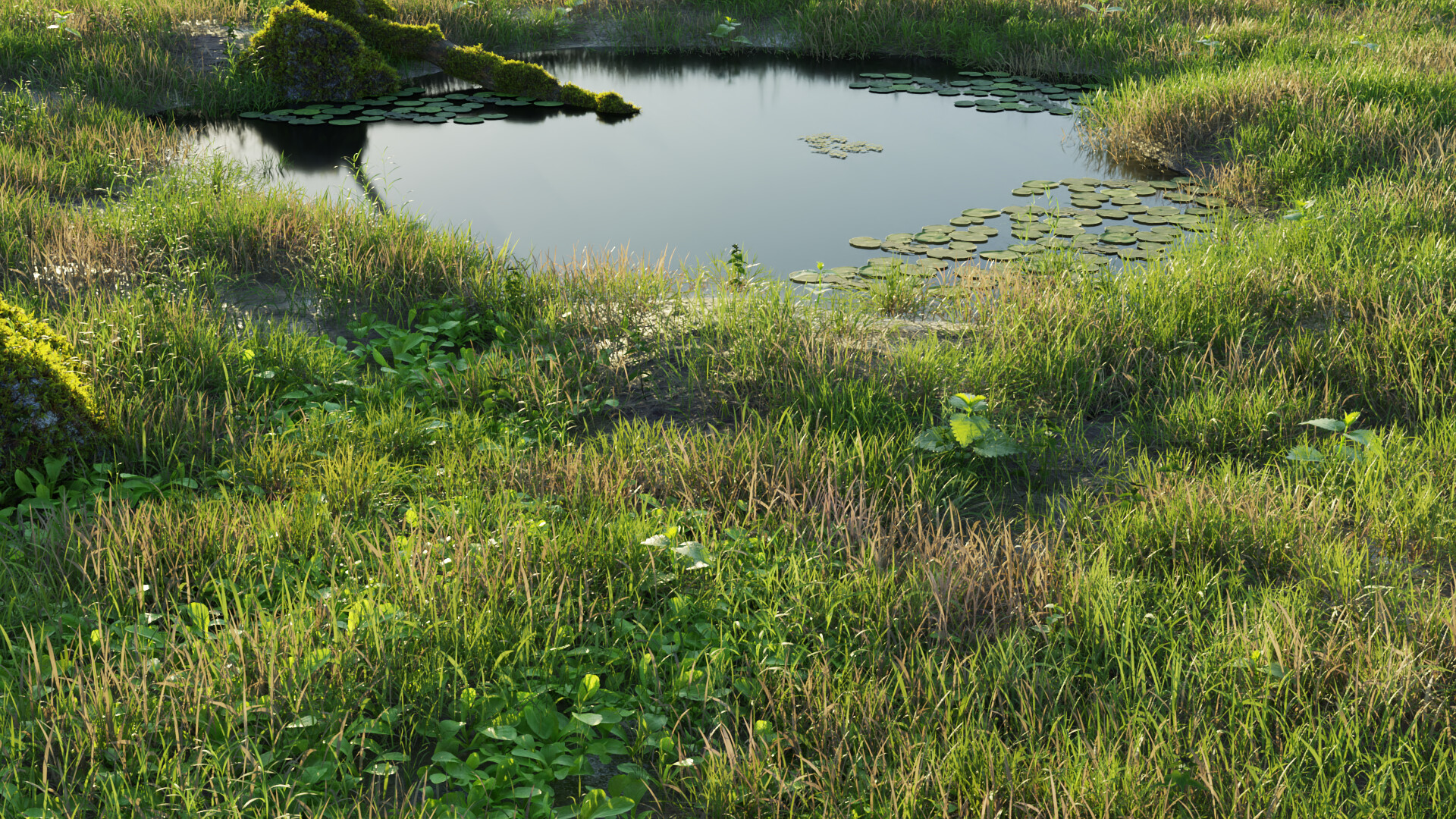 Swamp Finished Projects Blender Artists Community