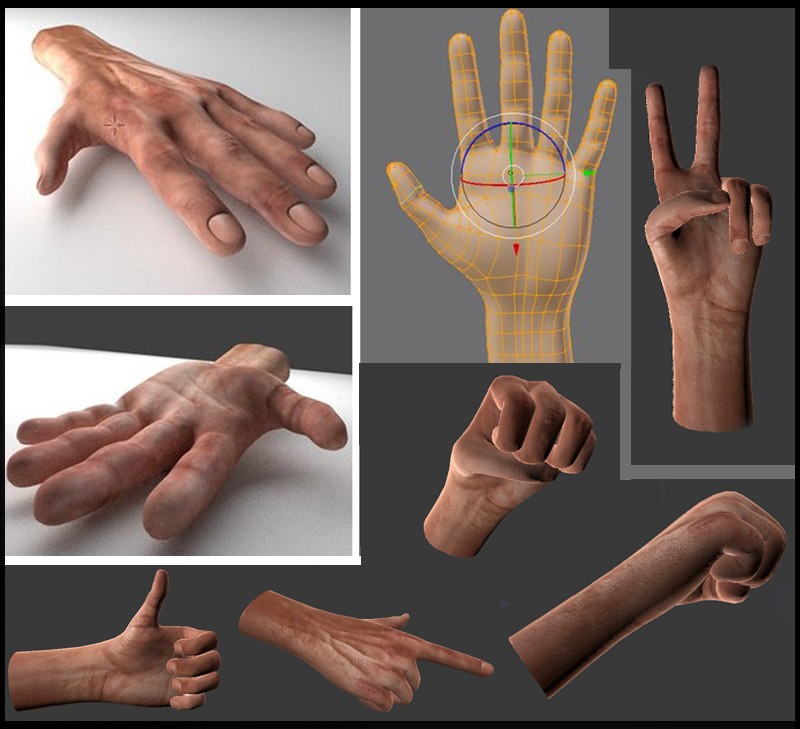 Best place to find a free rigged hand? Modeling Blender Artists