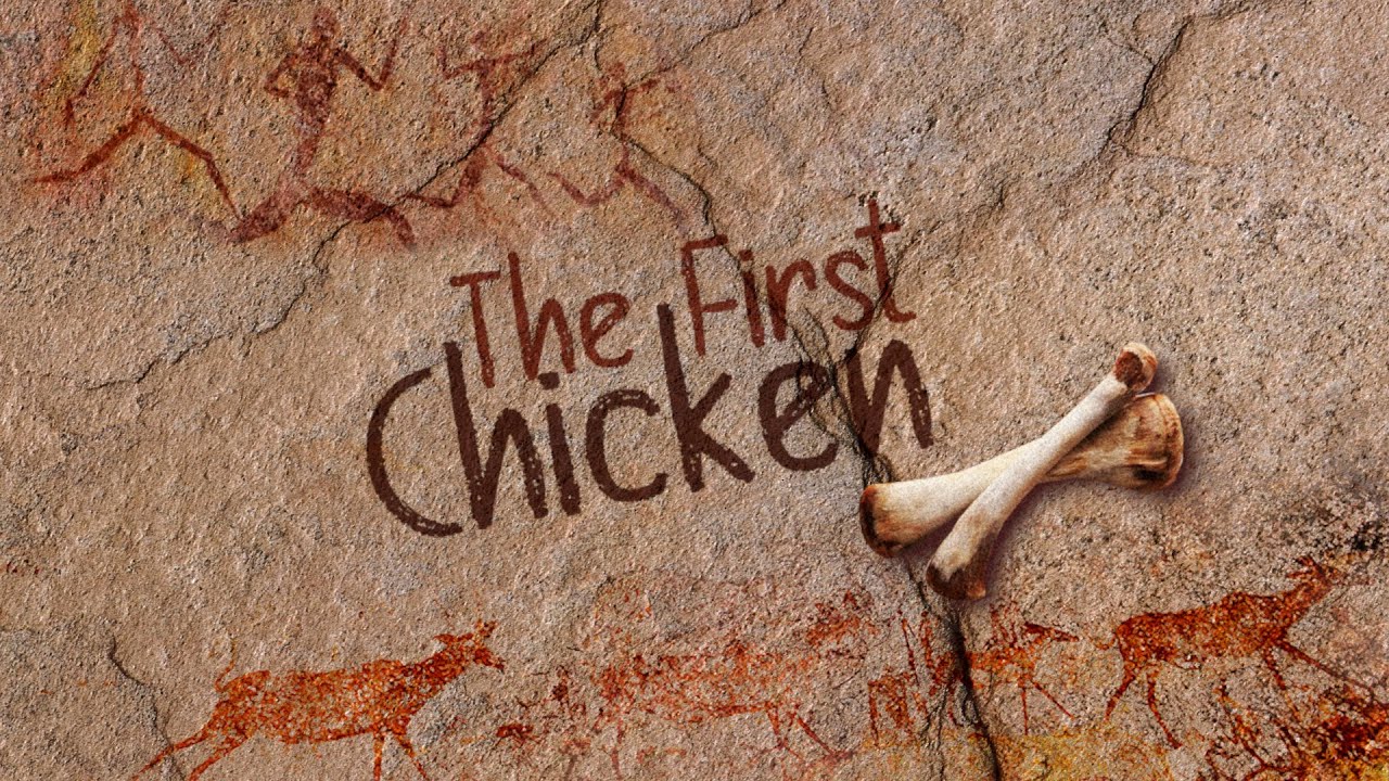 Short Film The First Chicken Animations Blender Artists Community