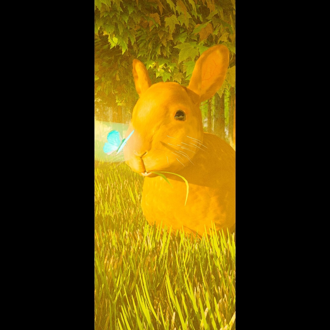 Cute Rabbit staring at Magical Glowing Butterfly 🦋 Finished Projects