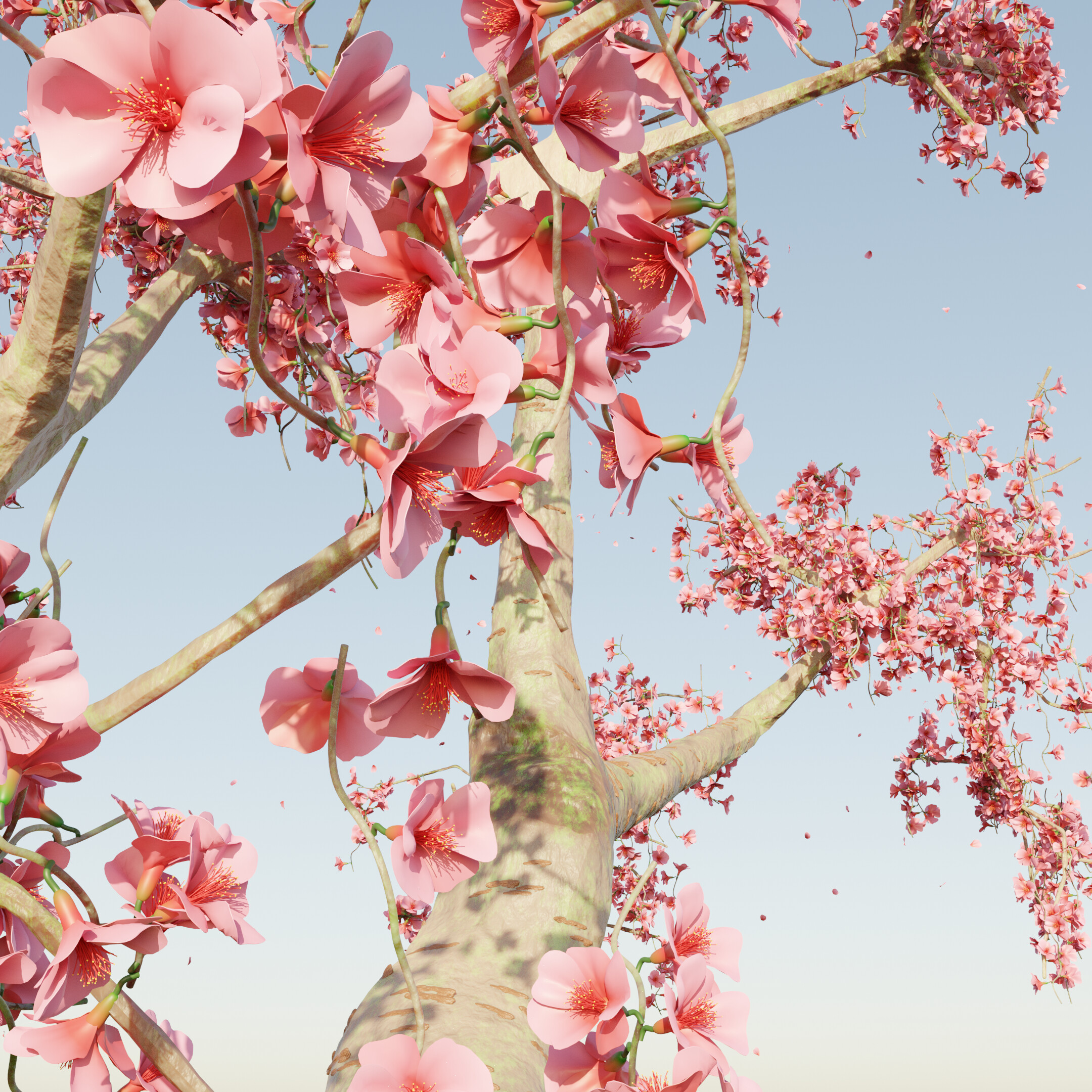 Cherry Blossom Tree in the Morning Light Finished Projects Blender