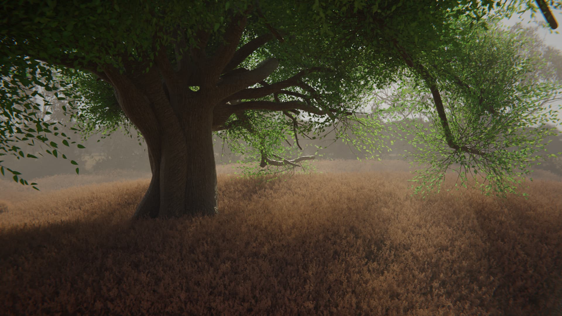 Realistic tree asset pack Finished Projects Blender Artists Community
