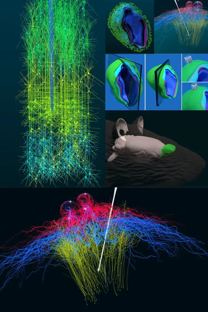 11+ Neural Blender Art LoicSobiya