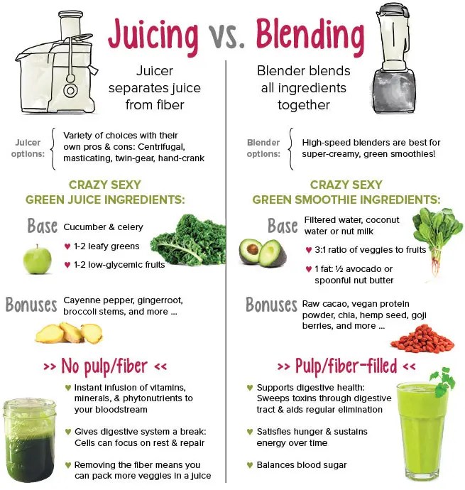 Juicer vs Blender Which is the better choice? The Blender Republic