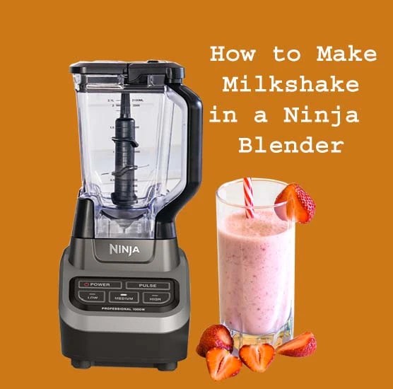 Blender Tips How to Make Milkshake in a Ninja Blender