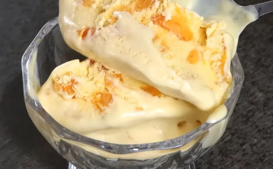 How to Make Ice Cream in a Blender?