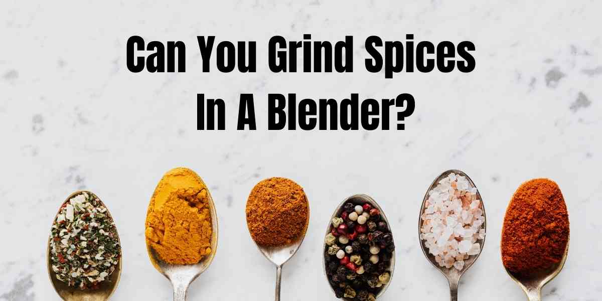 Can You Grind Spices In Blender? Spice Grinder Vs Blender