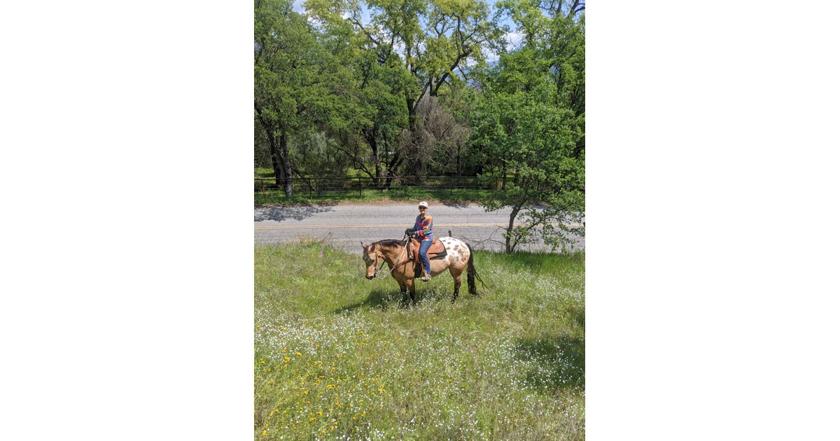 Christy Wood Equestrian Success Insider Blend Radio & TV Magazine