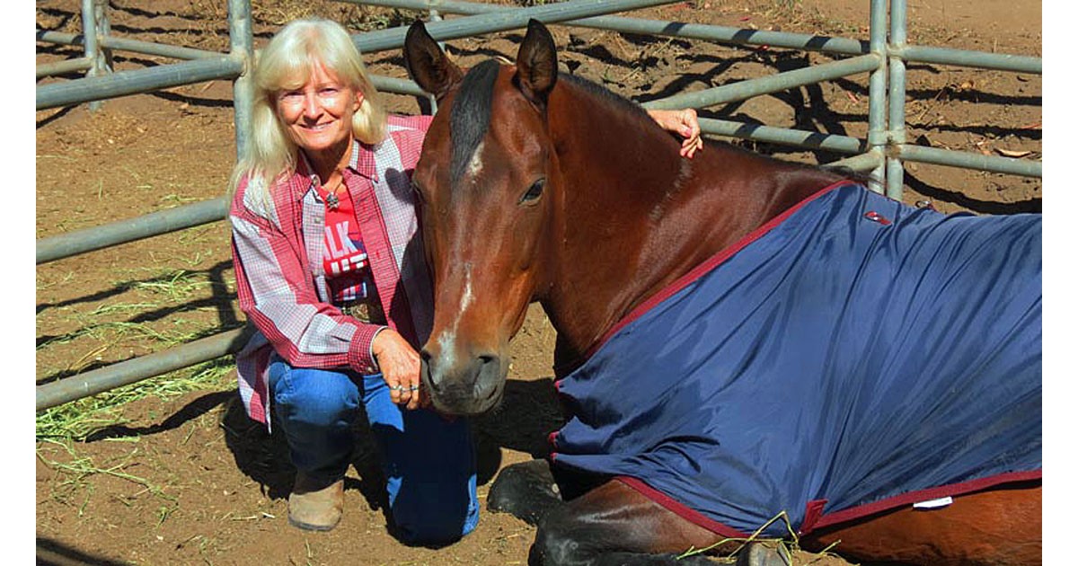 Christy Wood Equestrian Success Insider Blend Radio & TV Magazine