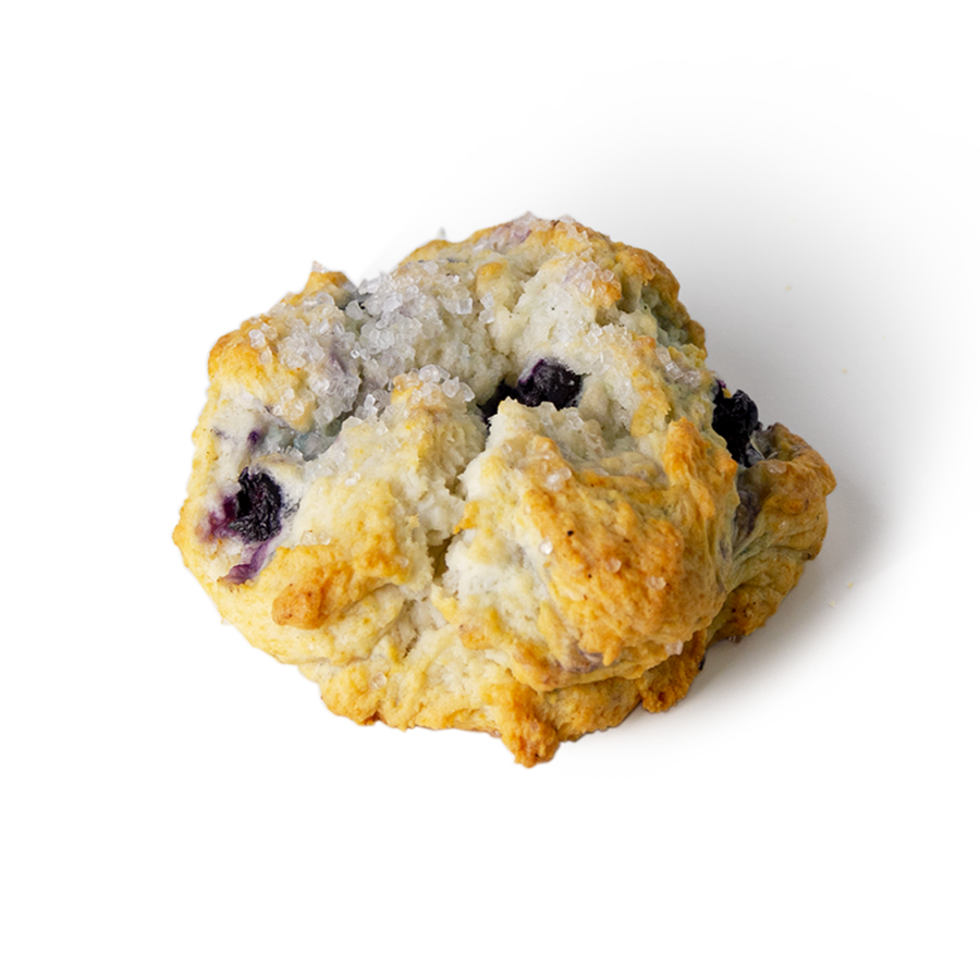 Blueberry Scone Near Me Blenz Coffee