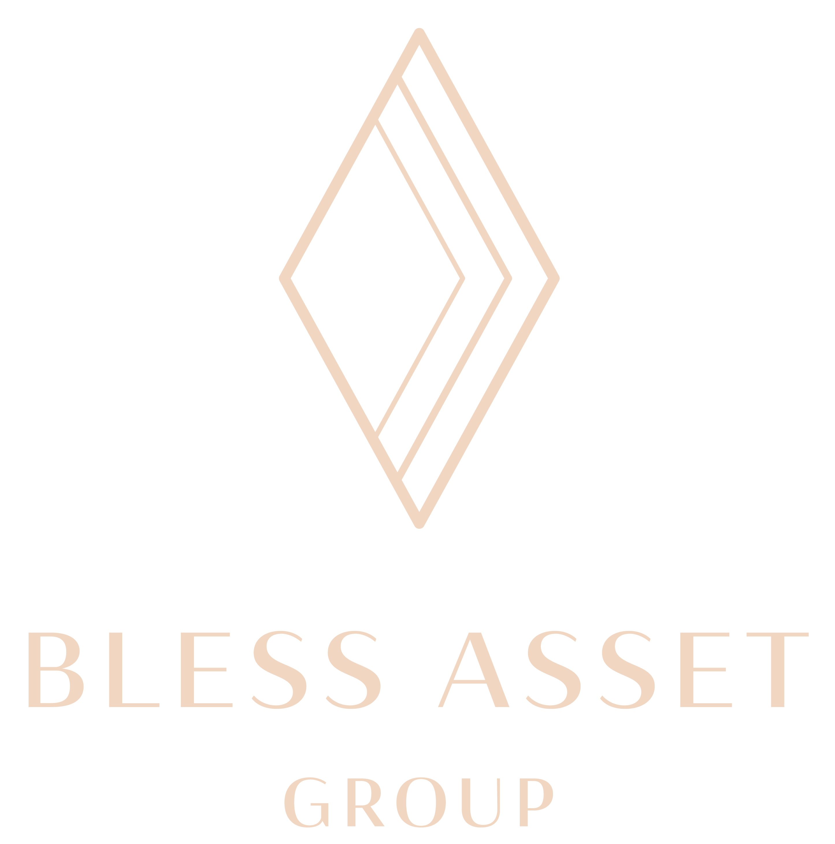 BLESS ASSET GROUP