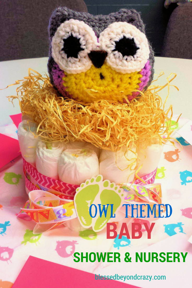 Owl Theme Baby Shower and Nursery Blessed Beyond Crazy