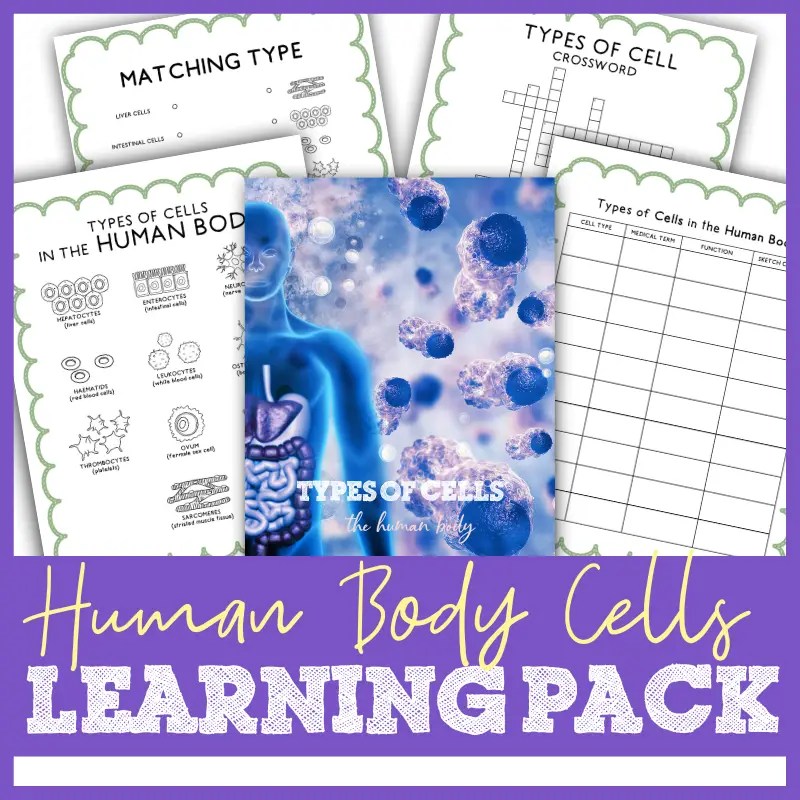 FREE Human Body Cells Activities {Printable Learning Pack}