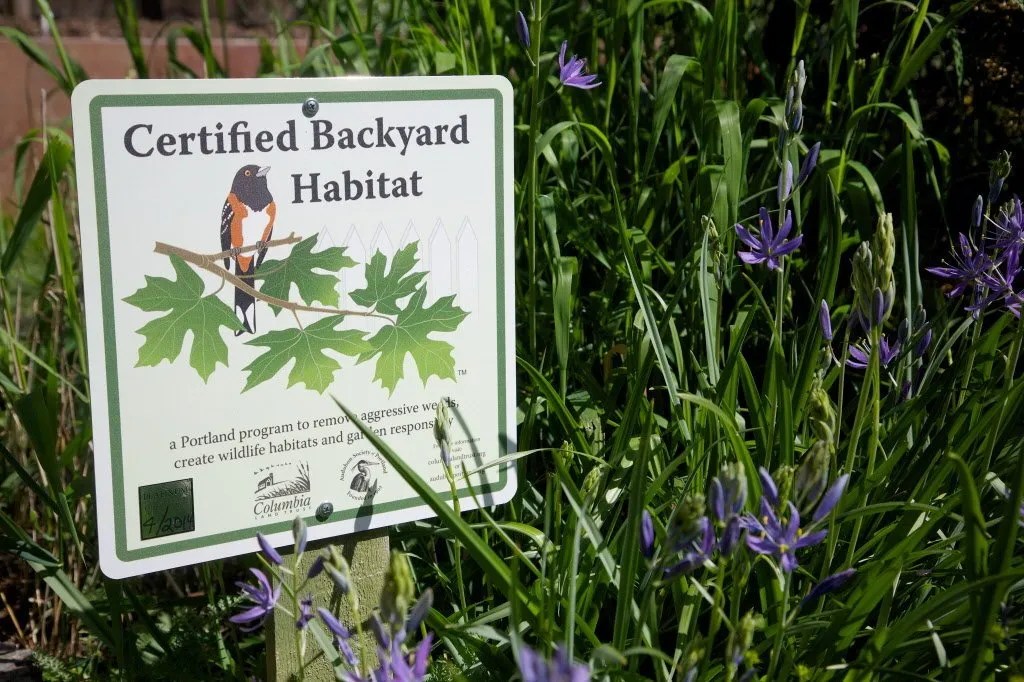 Get Backyard Habitat Certified! Blessing Landscapes