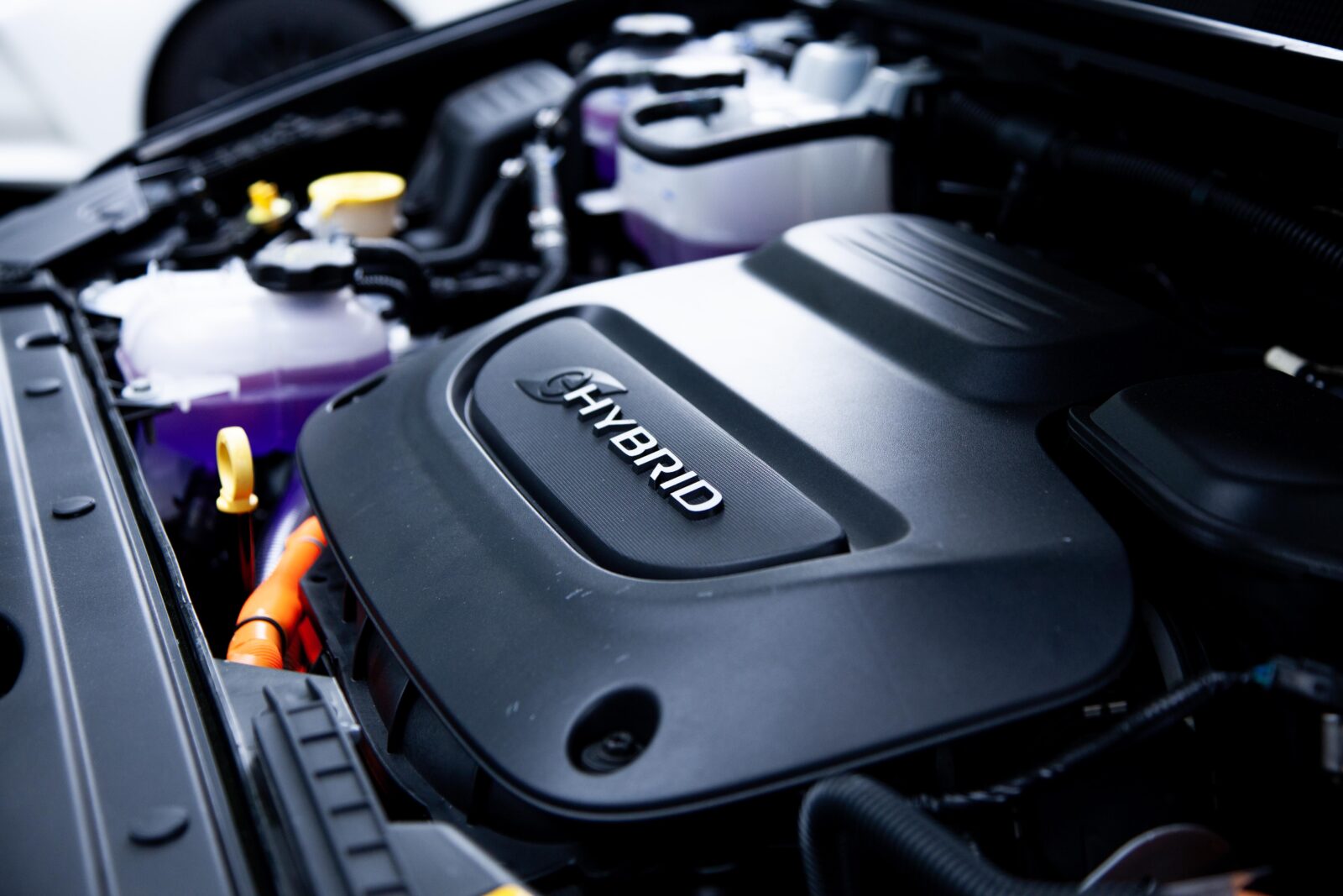 Be a Catalyst for Change Supporting the iCare Community Event