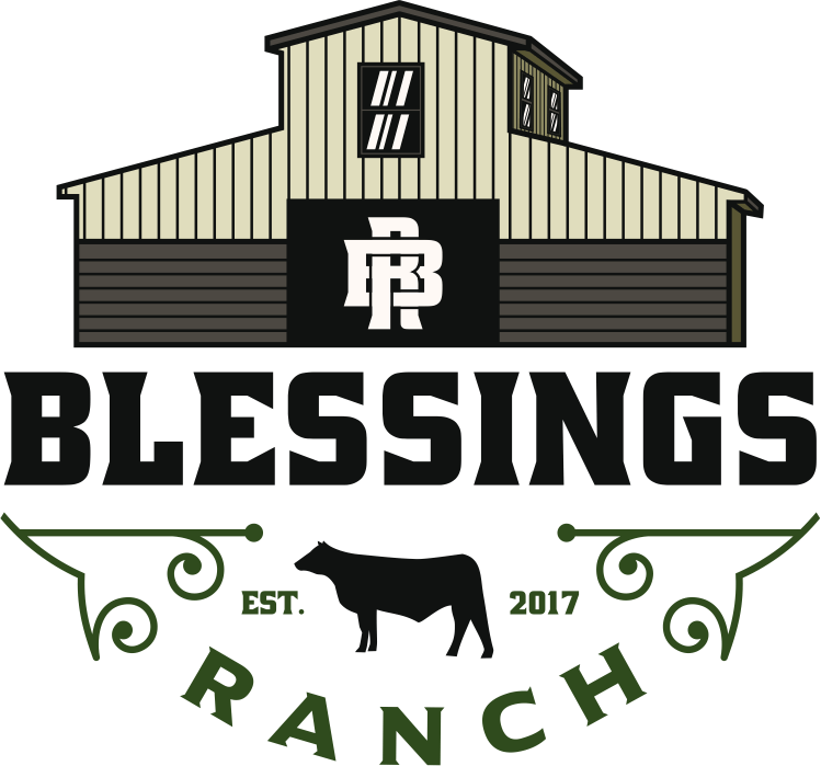 Contact Blessings Ranch