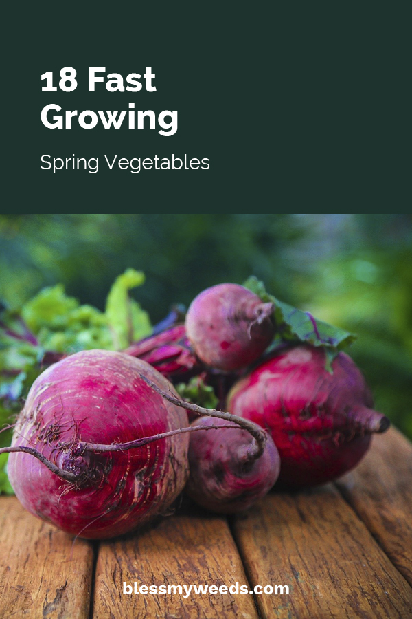 18 Fast Growing Spring Vegetables Bless My Weeds