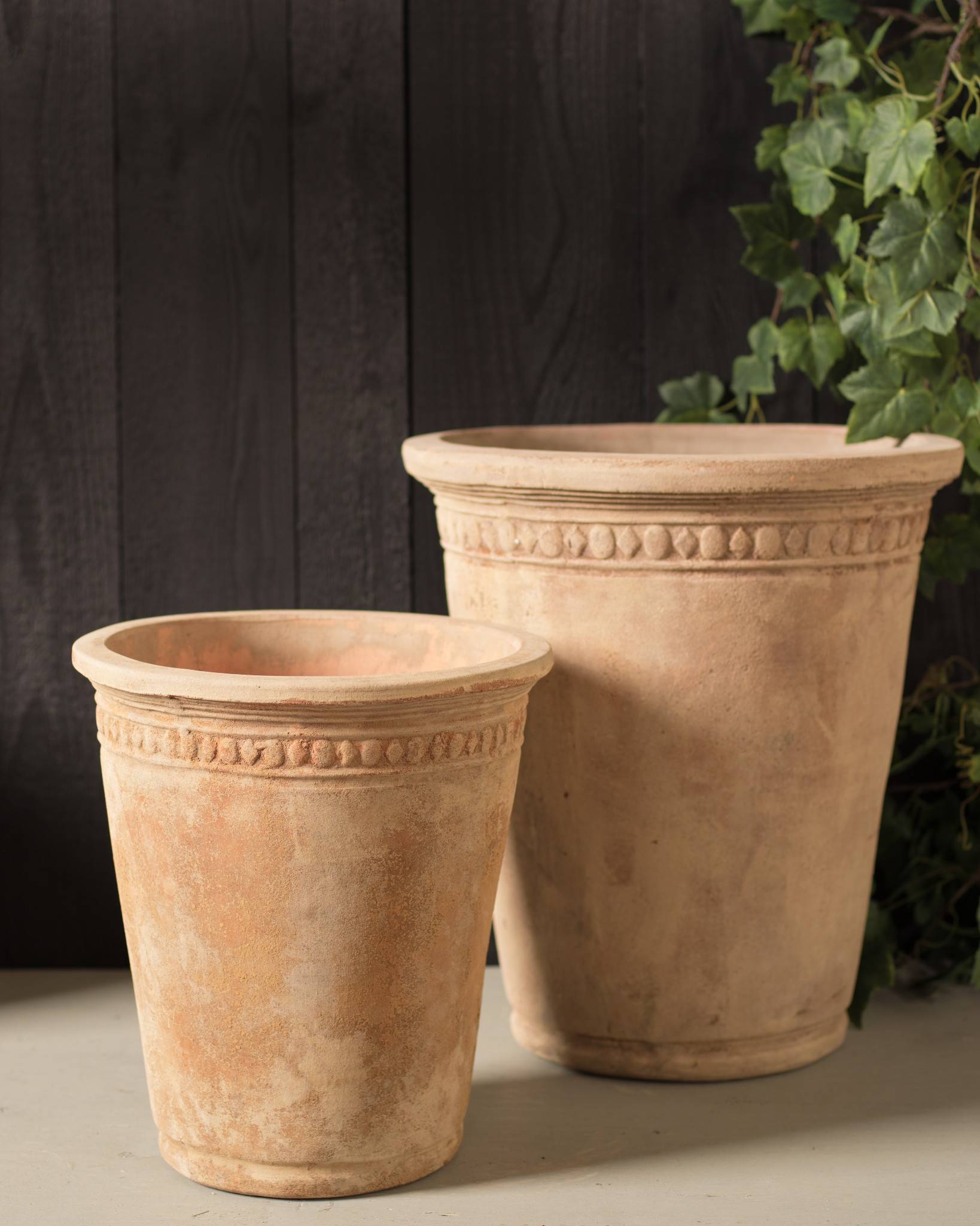 How to Grow Bulbs in Containers Bless My Weeds