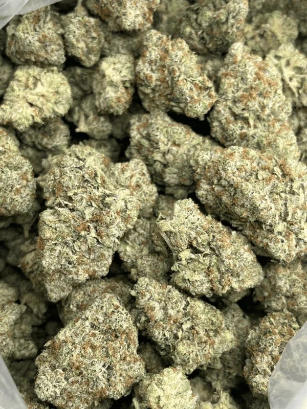 Lemon Cherry Gelato(Top Shelf Exotic)