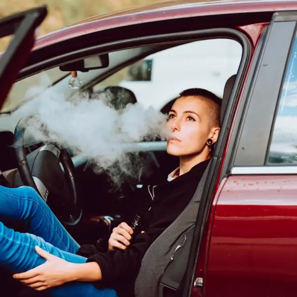 How To Get Weed Smell Out Of Your Car? Blimburn Seeds
