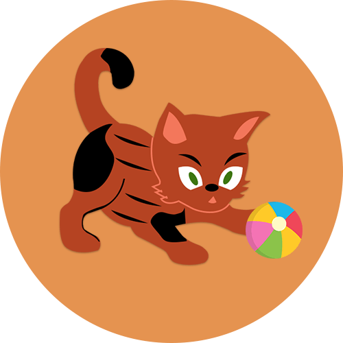 10 Tips To Living With A Blind Cat BlindBengal