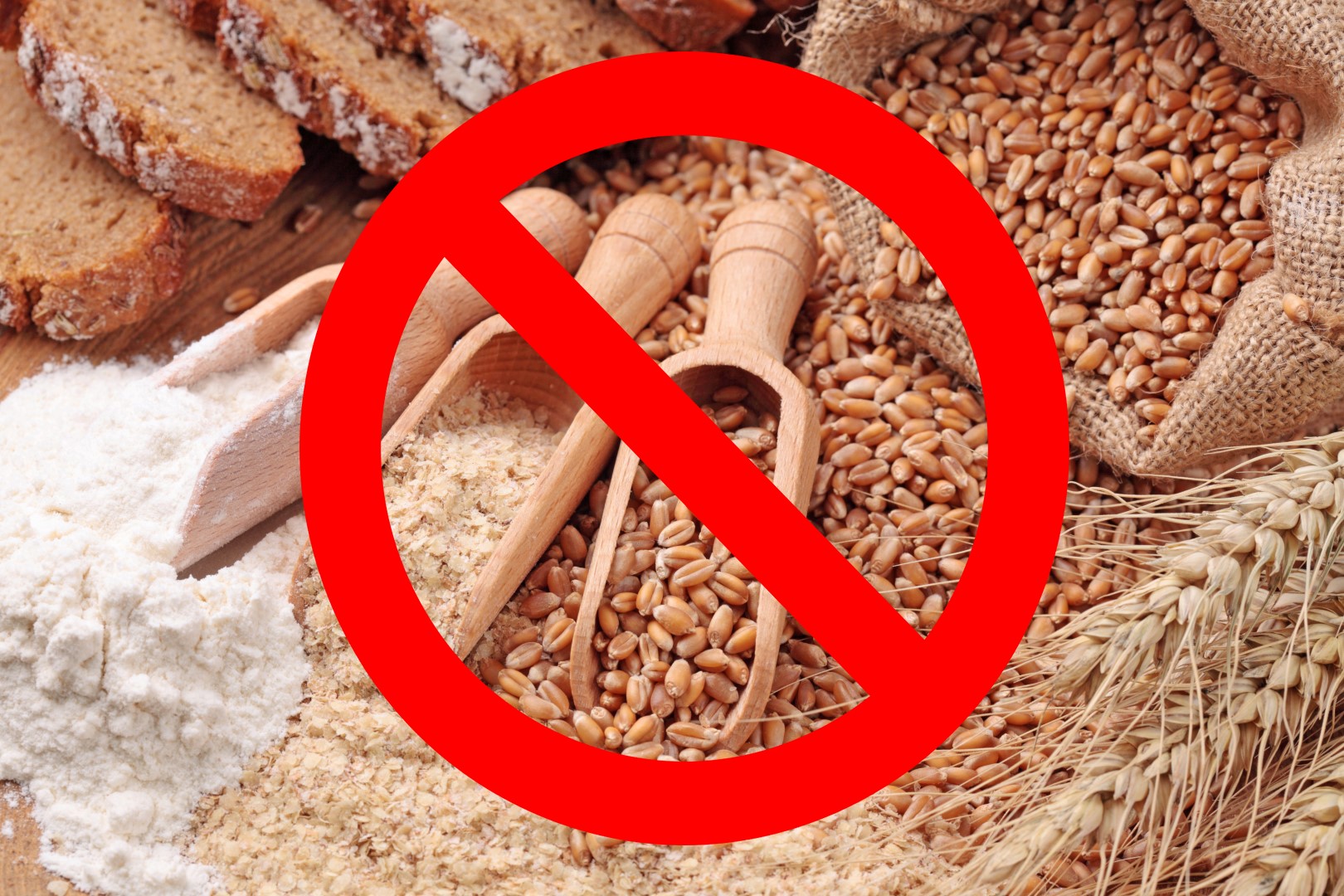 Do Bengal Cats Need A Specific Diet? BlindBengal