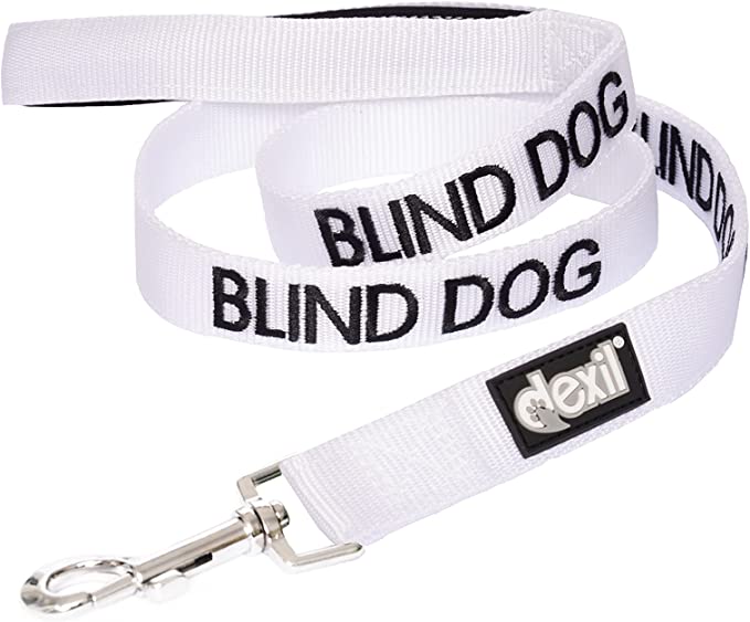 Blind Paws Halos and Harnesses for Blind Dogs