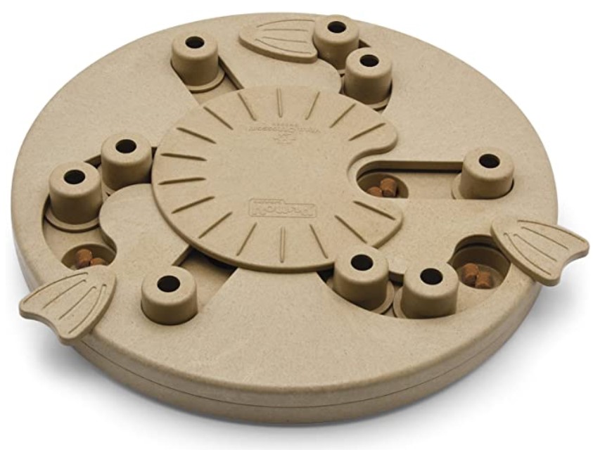 Blind Paws The 10 Best Toys for Blind Dogs