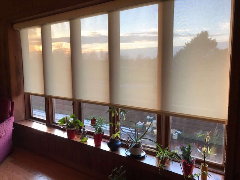 See Through Window Shades What Are the Perks? Blinds Brothers