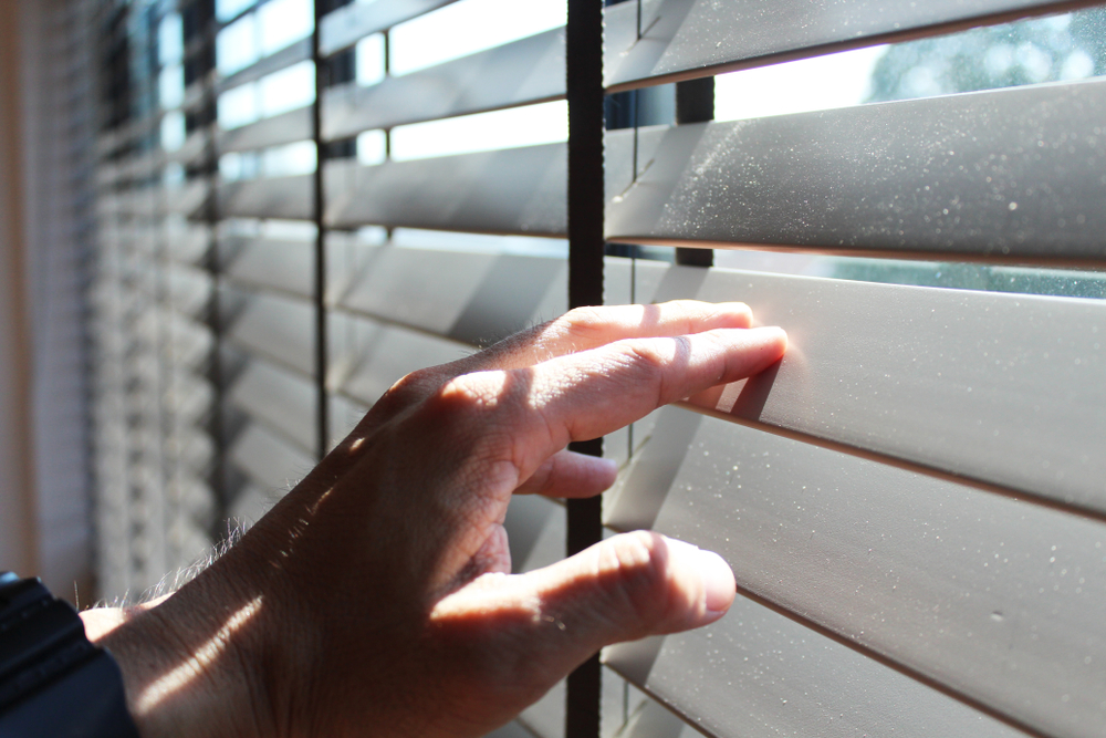 Shutters vs. Blinds What Should I Choose? Blindsource