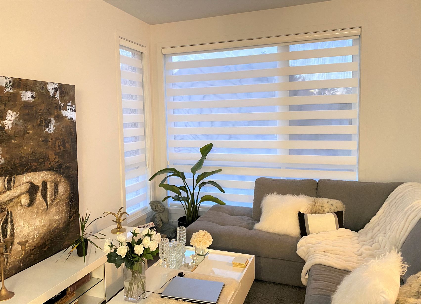 Zebra Blinds Blinds Pros Canada