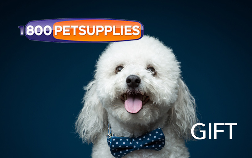 800petsupplies atelieryuwa.ciao.jp