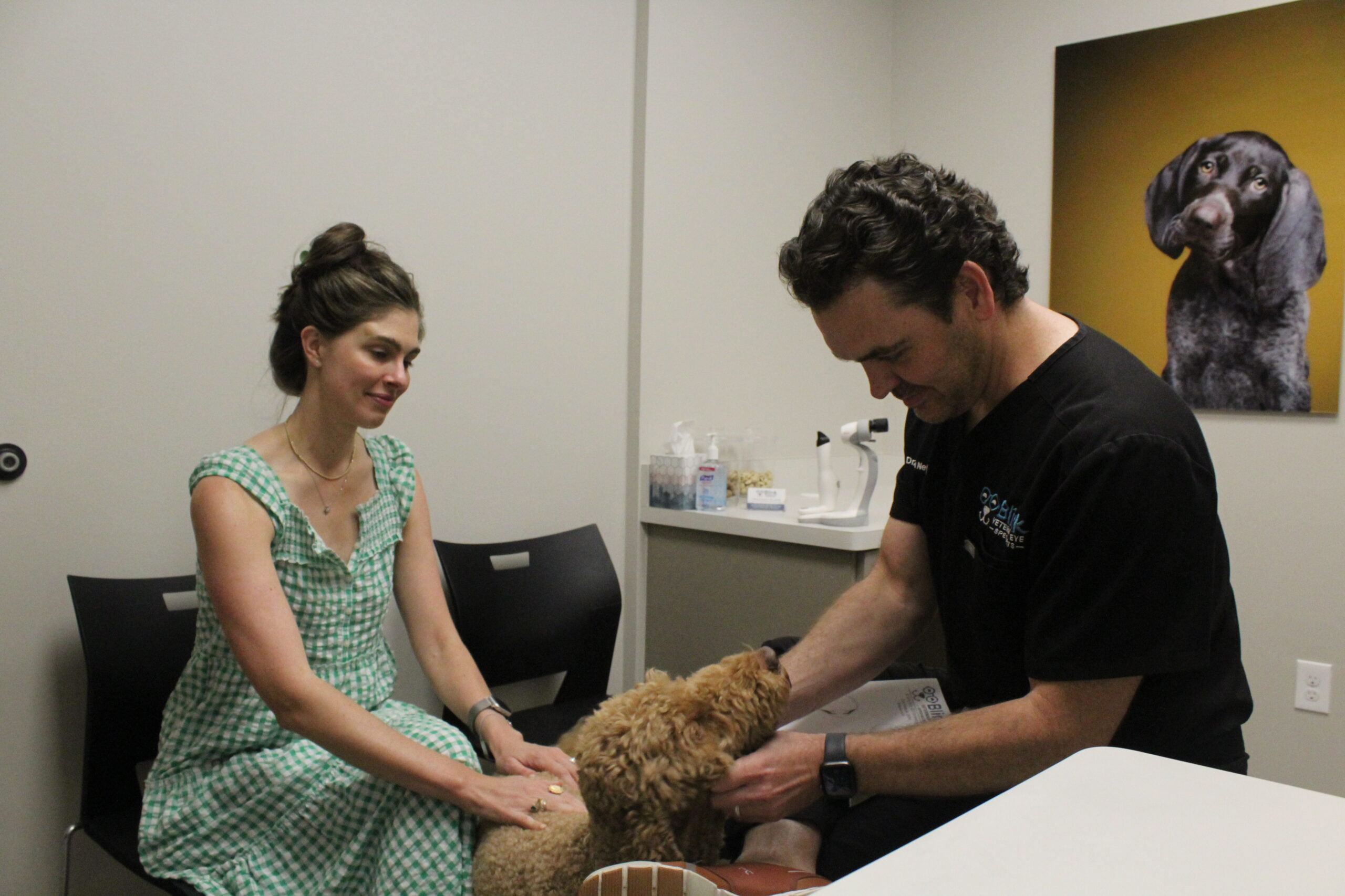 For Pet Parents Blink Veterinary Eye Specialists