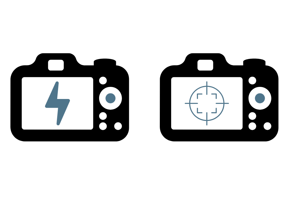 Photo Tips Blink Veterinary Eye Specialists