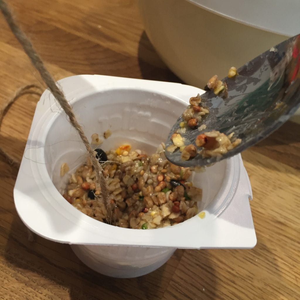 Home Made Fat Balls for Birds Blissful Domestication