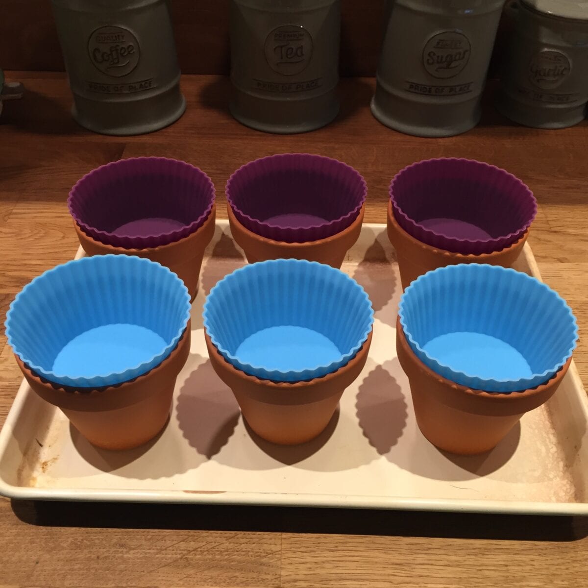 Muffin Cases Blissful Domestication