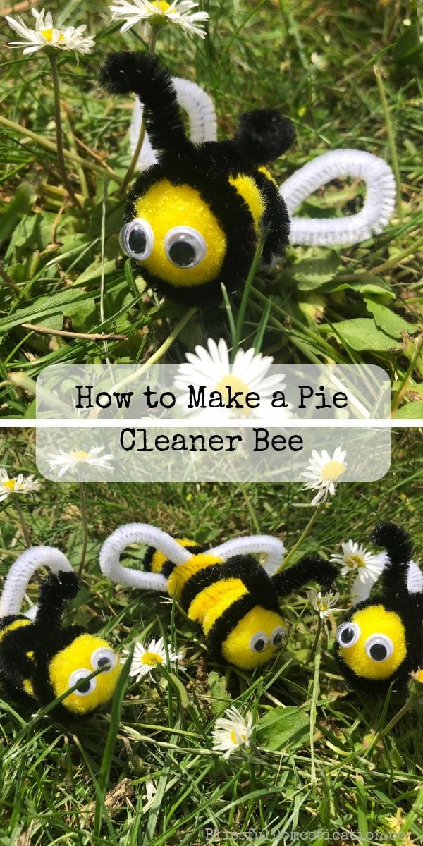 How to Make a Pipe Cleaner Bee Blissful Domestication