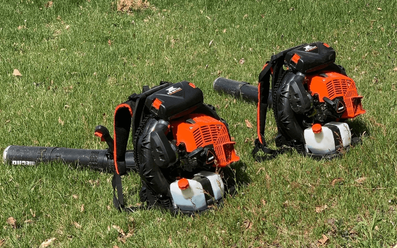 Landscape Cleanup Company Stafford, VA Bliss Lawn and Landscape