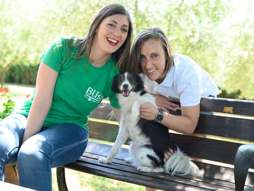 About us Bliss Pet Services